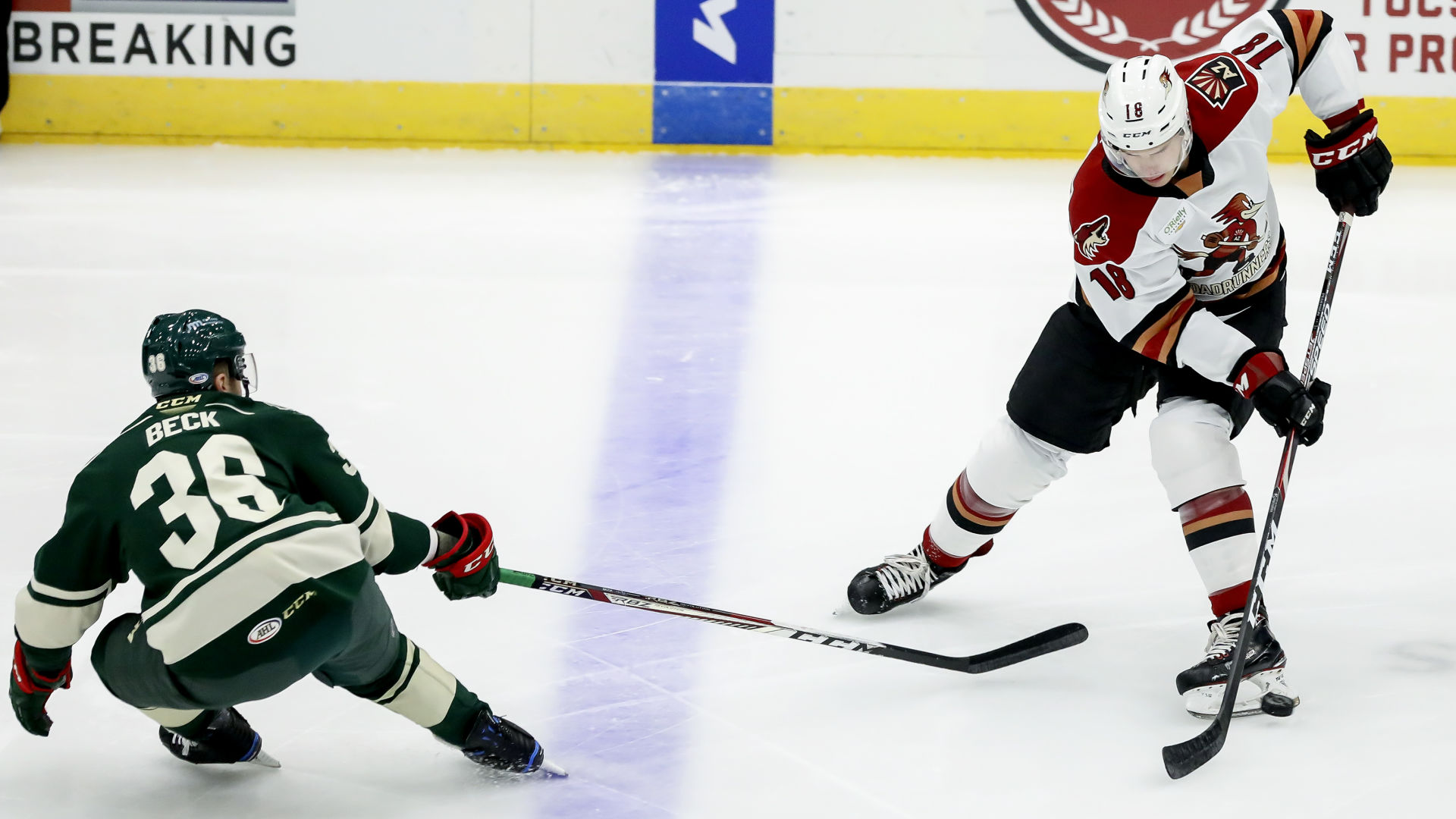 Tucson Roadrunners vs Iowa Wild